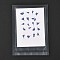 Cornflower Embossing Dry Flower, for Cellphone, Photo Frame, Scrapbooking DIY Handmade Craft, Cornflower Blue, 9~18x5~13mm, 20pcs/bag