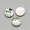 Paua Shell Cabochons, Flat Round, Colorful, 10x3mm