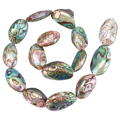1 Strand Natural Abalone Shell/Paua Shell Beads Strands, Flat Oval, Colorful, 24~32x14~19x4mm, about 15~16pcs/strand, 15.5 inch