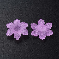 Transparent Acrylic Beads&nbsp;MACR-S373-117-D04