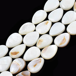Natural White Shell Beads Strands&nbsp;PBB263Y-1