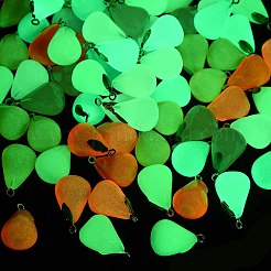 Luminous Transparent Resin Pendants&nbsp;RESI-Z038-06P