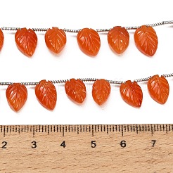 Natural Carnelian Carved Beads Strands&nbsp;GG-CBA0C95-E06