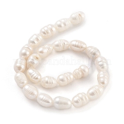 Natural Cultured Freshwater Pearl Beads Strands&nbsp;PEAR-P062-09A