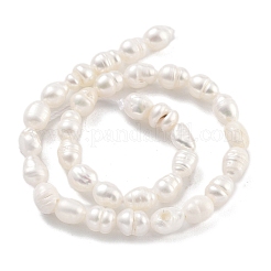 Natural Cultured Freshwater Pearl Beads Strands&nbsp;PEAR-P062-03A