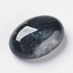 天然インディアンアゲート  フラットバック  オーバル  14x10x5mm&nbsp;G-F296-09-10x14mm