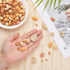 150G 5 Style Opaque Resin Imitation Nuts Ornaments&nbsp;RESI-CA0001-43