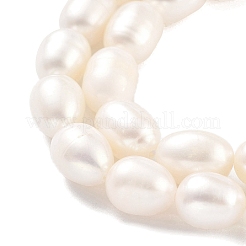 Natural Cultured Freshwater Pearl Beads Strands&nbsp;PEAR-P062-10I