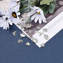 Tibetan Style Alloy Pendants&nbsp;TIBEP-MSMC021-04AS