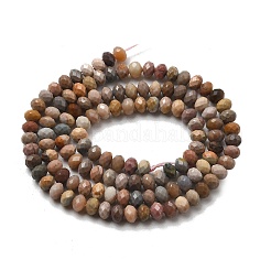Natural Alashan Agate Beads Strands&nbsp;G-C127-B01-01