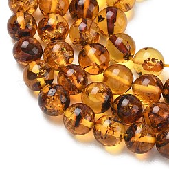 Natural Amber Beads Strands&nbsp;G-L095-B01-8mm-04