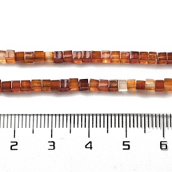 合成カーネリアン ビーズ 連売り  キューブ  染め＆加熱  2~2.5x2.5~3.5x2.5~3mm  穴：0.4mm  約157~165個/連  14.96~15.75''（38~40センチメートル）&nbsp;G-B064-A22