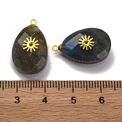Natural Labradorite Pendants&nbsp;G-B089-01G-04