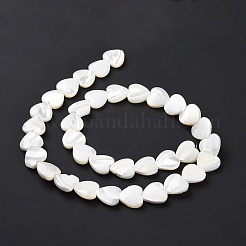 Natural Trochus Shell Beads Strands&nbsp;SSHEL-H070-06D