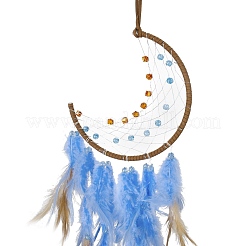 Iron Woven Web/Net with Feather Pendant Decorations&nbsp;AJEW-B017-11