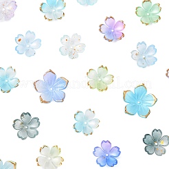 ミックススタイルのアクリルビーズキャップ  花  ブルー  17.5~23.5x18~23.5x1.5~6mm  穴：1.2~1.6mm  200個/セット&nbsp;OACR-FS0002-51A