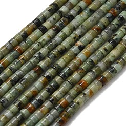 天然アフリカンターコイズ（ジャスパー）ビーズ連売り  ディスク  ヒシビーズ  3x2.5mm  穴：0.6mm  約148個/連  15.31''（38.9センチメートル）&nbsp;G-P608-A13-01