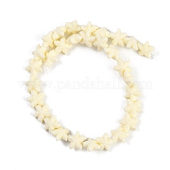 合成サンゴ染め彫刻ビーズ連売り  ヒトデ  ビスク  10~11x10x5.5mm  穴：0.8mm  約31個/連  10.04''（25.5センチメートル）&nbsp;CORA-K009-06A-02