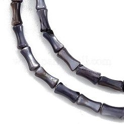 天然淡水シェルビーズ連売り  染め  竹の棒の形  グレー  8x4.5mm  穴：0.8mm  約46個/連  14.49インチ（36.8cm）&nbsp;SHEL-G013-01K