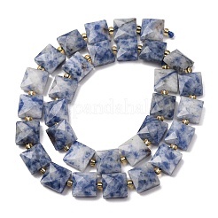 Natural Blue Spot Jasper Beads Strands&nbsp;G-F839-A15-01