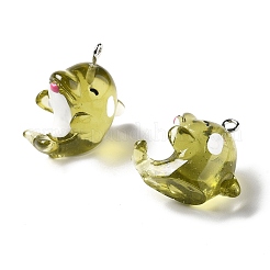 Marine Series Transparent Resin Pendants&nbsp;RESI-E031-02P-10