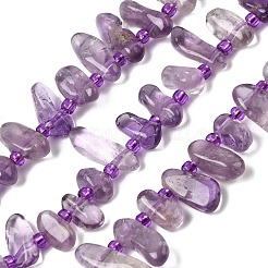 Natural Amethyst Beads Strands&nbsp;G-L649-D05-02