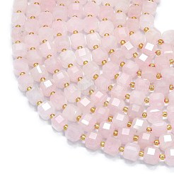 Natural Rose Quartz Beads Strands&nbsp;G-K389-A03-01