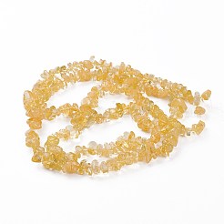 加熱された天然シトリンビーズ連売り  染め  チップ  2.5~6.5x6.5~11.5mm  穴：0.8mm  約31.34インチ（79.6cm）&nbsp;G-L555-06