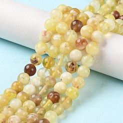 Natural Yellow Opal Beads Strands&nbsp;G-Q1001-A01-01