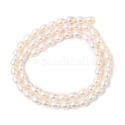 Natural Cultured Freshwater Pearl Beads Strands&nbsp;PEAR-F020-01B