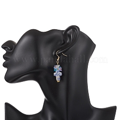 Natural Blue Spot Jaspen Dangle Earrings&nbsp;EJEW-JE06859