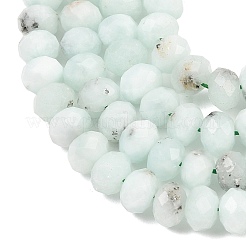 Natural Gemstone Beads Strands&nbsp;G-C259-A18-5x8mm