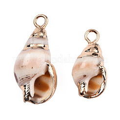 電気メッキ巻き貝ペンダント  鉄パーツ  ライトゴールド  貝殻色  16~20x8~9x7~8mm  穴：1.5mm&nbsp;SSHEL-T006-13
