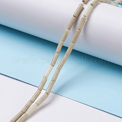 Natural Fossil Beads Strands&nbsp;G-H269-02
