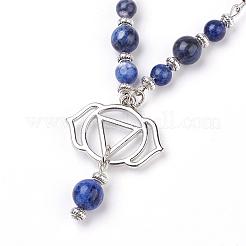 Natural Sodalite Pendant Necklaces&nbsp;NJEW-P191-B06