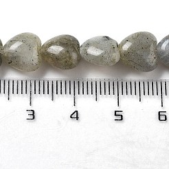 天然石ラブラドライトビーズ連売り  ハート  10x10x4.5~5mm  穴：0.7mm  約20個/連  7.28''~7.48''（18.5~19センチメートル）&nbsp;G-P528-C05-01