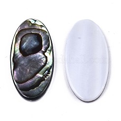 Natural Abalone Shell/Paua Shell Cabochons&nbsp;SSHEL-N034-74