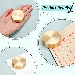 Brass Chinese Calligraphy Paper Weight Cast&nbsp;DJEW-WH0050-26A-G