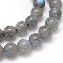 Natural Labradorite Round Bead Strands&nbsp;LS-G-O087-05-6mm