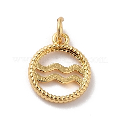 Brass Charms&nbsp;KK-A160-20G-11
