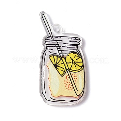 Transparent Printed Acrylic Pendants&nbsp;LS-TACR-G042-01D