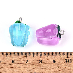 Transparent Resin Pendants&nbsp;RESI-N050-14P