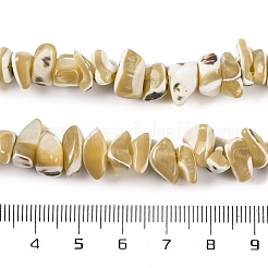 Natural Trochus Shell Beads Strands&nbsp;BSHE-S304-04