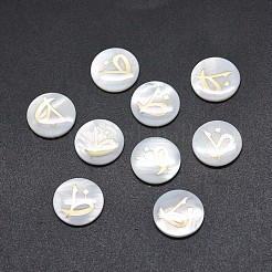 Shell Cabochons&nbsp;SSHEL-E568-B13