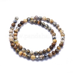 Natural Black Moss Jasper Beads Strands&nbsp;G-K293-F02-B