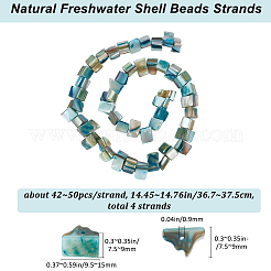 4 Strands Dyed Natural Freshwater Shell Beads Strands&nbsp;SHEL-BBC0001-14B