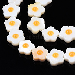 Natural Freshwater Shell Beads Strands&nbsp;SHEL-N003-31B-01
