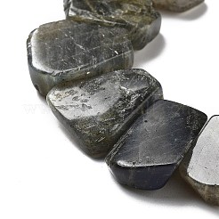 Natural Labradorite Beads Strands&nbsp;G-P528-K10-01