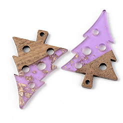 Transparent Resin & Walnut Wood Pendants&nbsp;RESI-S389-030A-B01