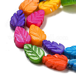 Natural Freshwater shell Beads Strands&nbsp;SHEL-H004-01